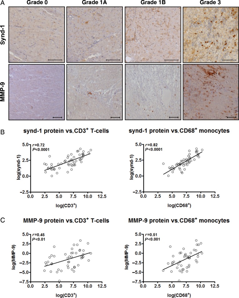 Figure 3