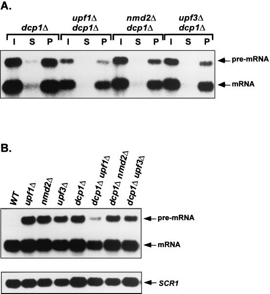 FIG. 8