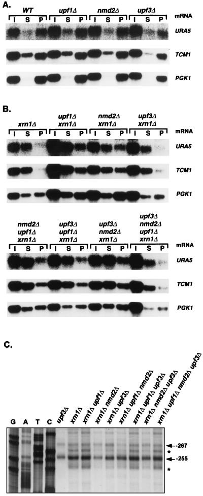 FIG. 6