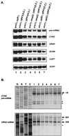 FIG. 7