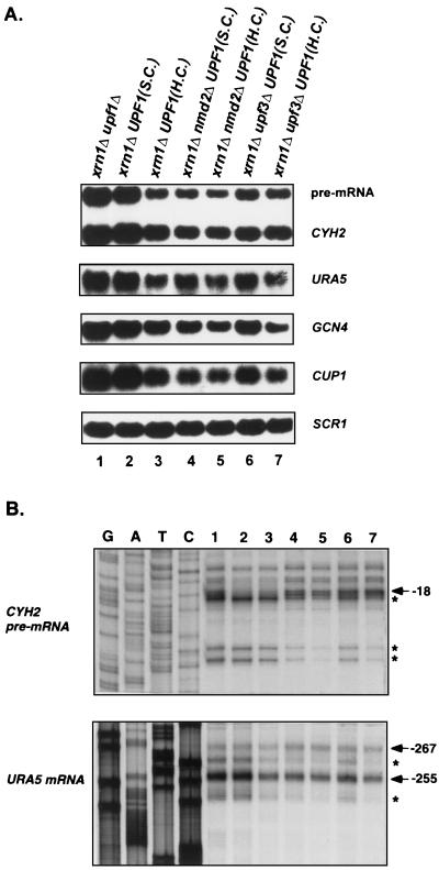 FIG. 7