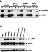 FIG. 8