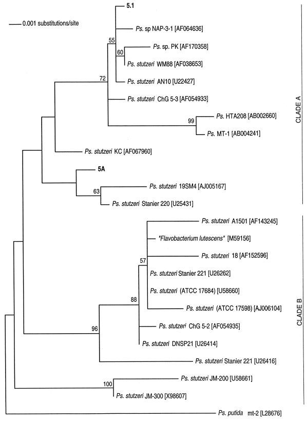 FIG. 1.