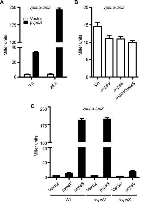 FIG. 2.