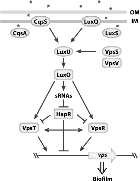 FIG. 11.