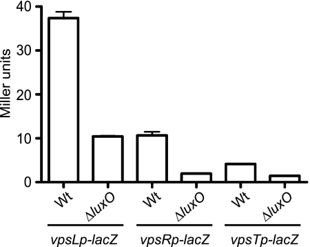 FIG. 9.