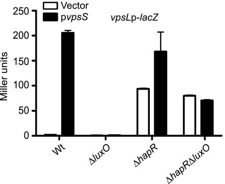 FIG. 8.