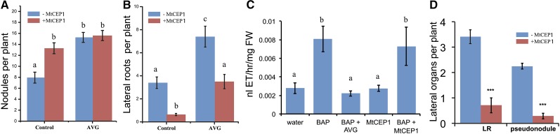 Figure 7.