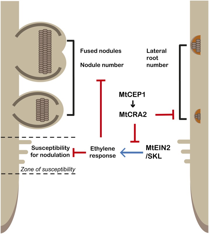 Figure 9.