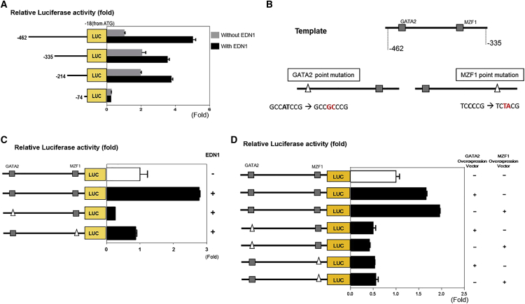 Figure 4