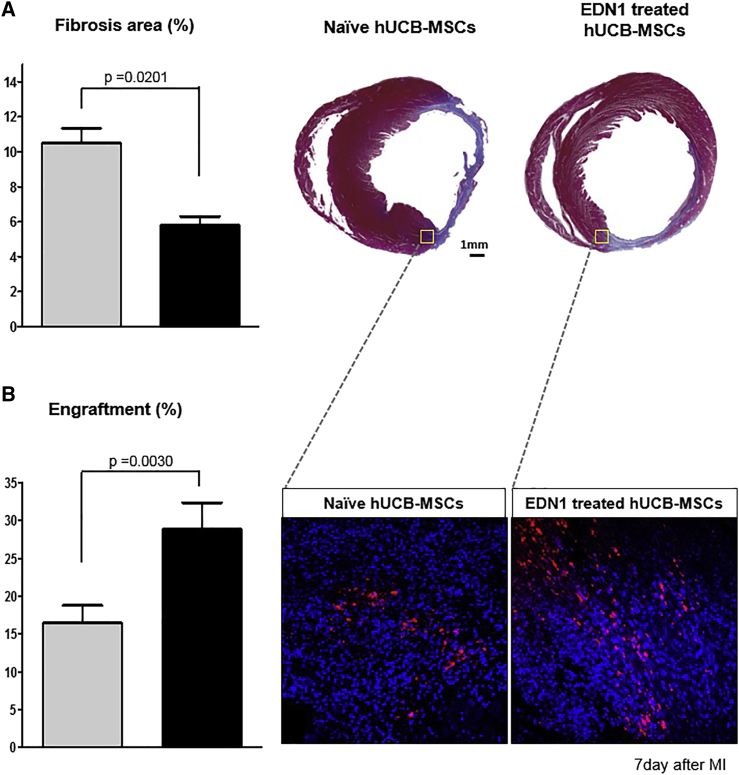 Figure 6