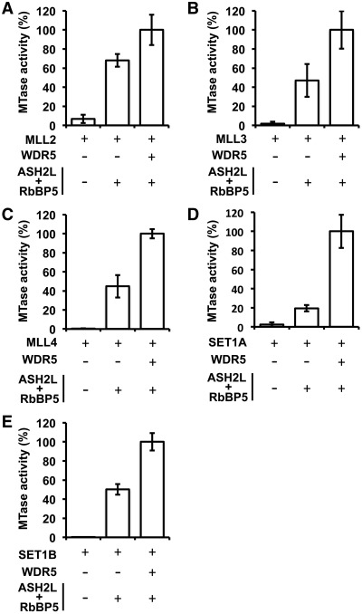 Figure 4.