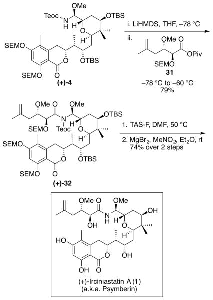 Scheme 8