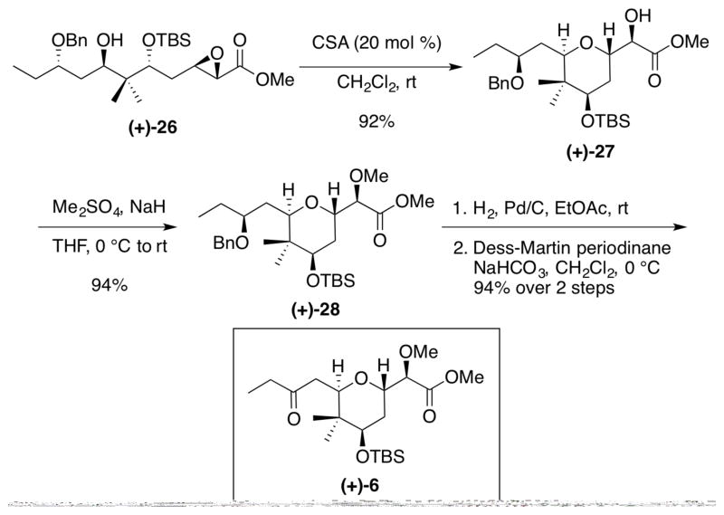 Scheme 6