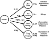 Figure 11.