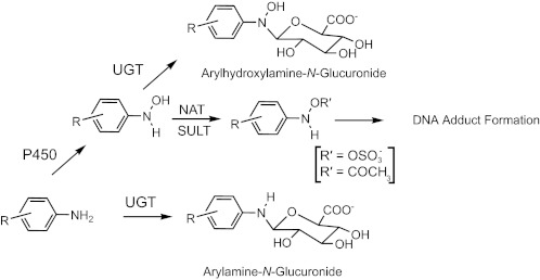 SCHEME 1.