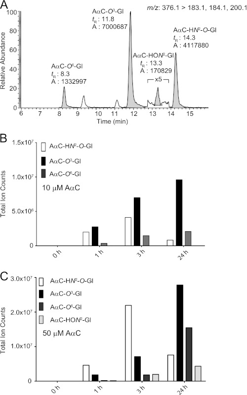 FIGURE 9.