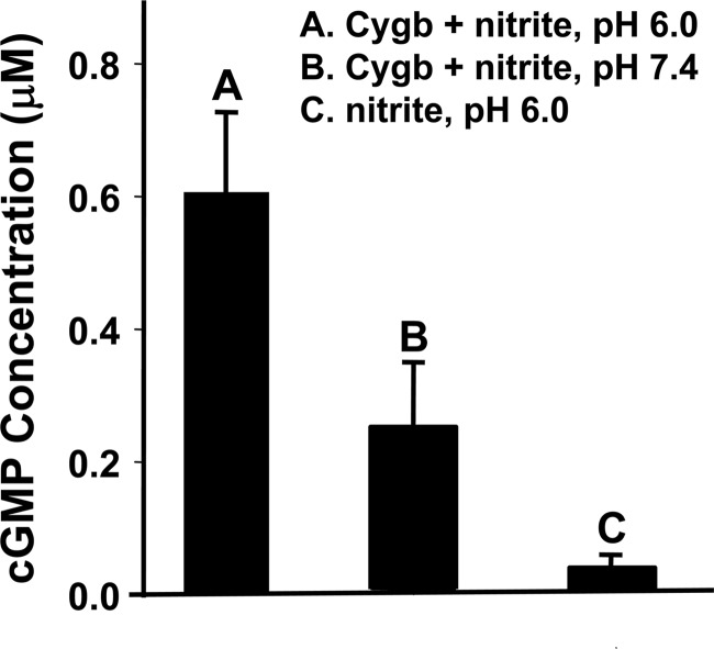 FIGURE 7.