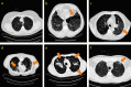 Fig. 2.
