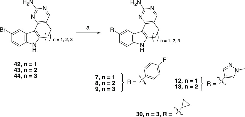 Scheme 3