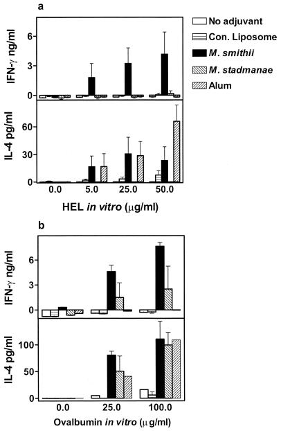 FIG. 6