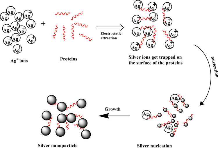 Scheme 4