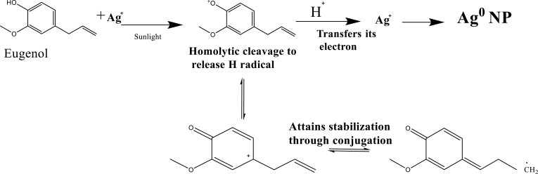 Scheme 3