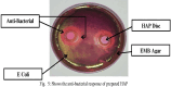 Fig. 11