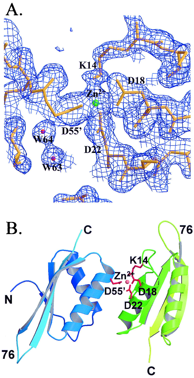 FIG. 2.