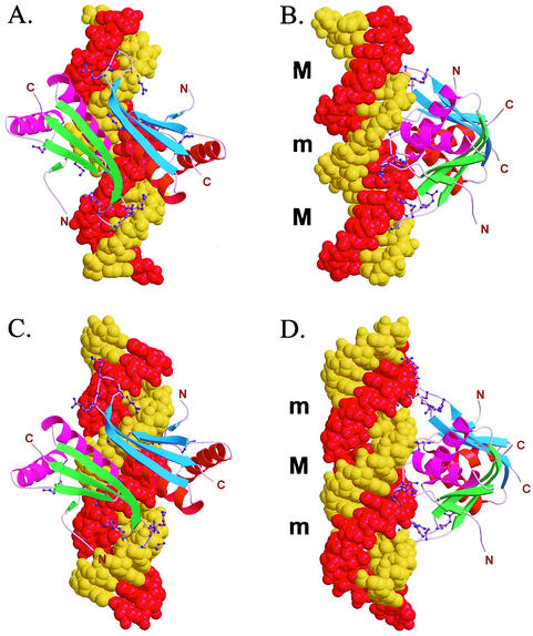 FIG. 6.