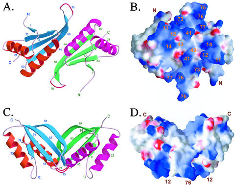 FIG. 4.