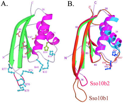 FIG. 3.