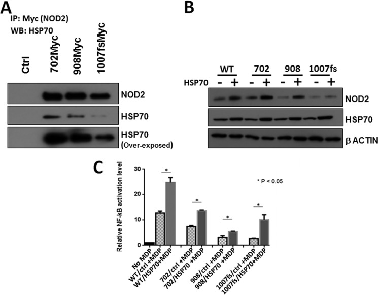 FIGURE 7.