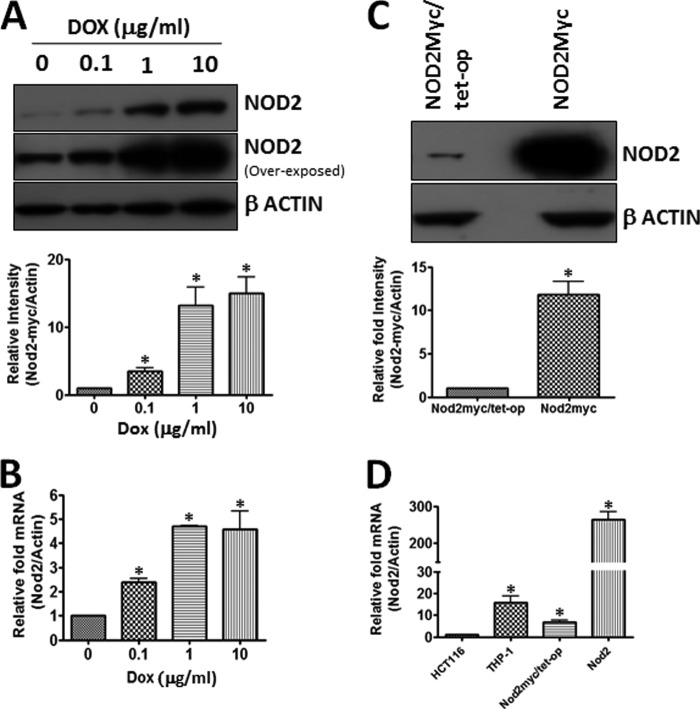 FIGURE 1.