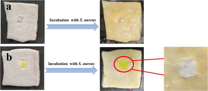 Figure 12