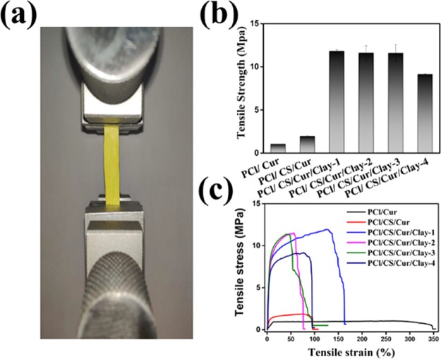 Figure 10