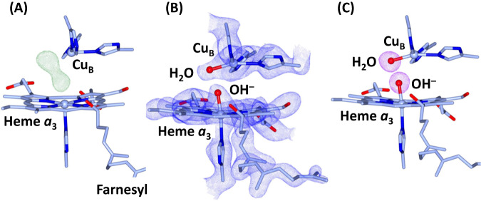 Fig. 3