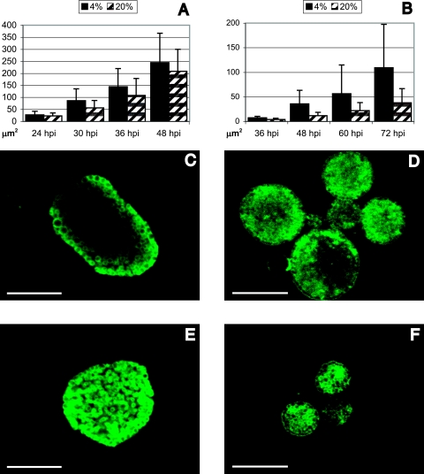 FIG. 1.