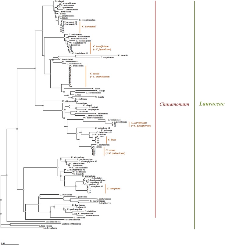 Fig. 2