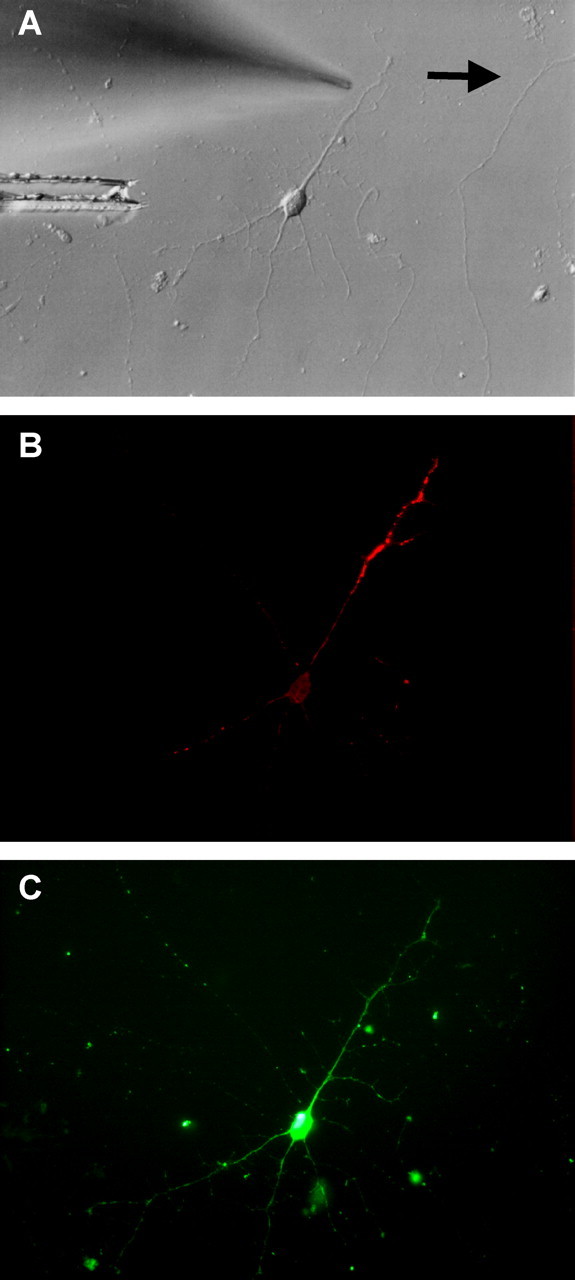 
Figure 10.
