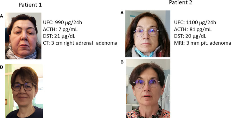 Figure 1