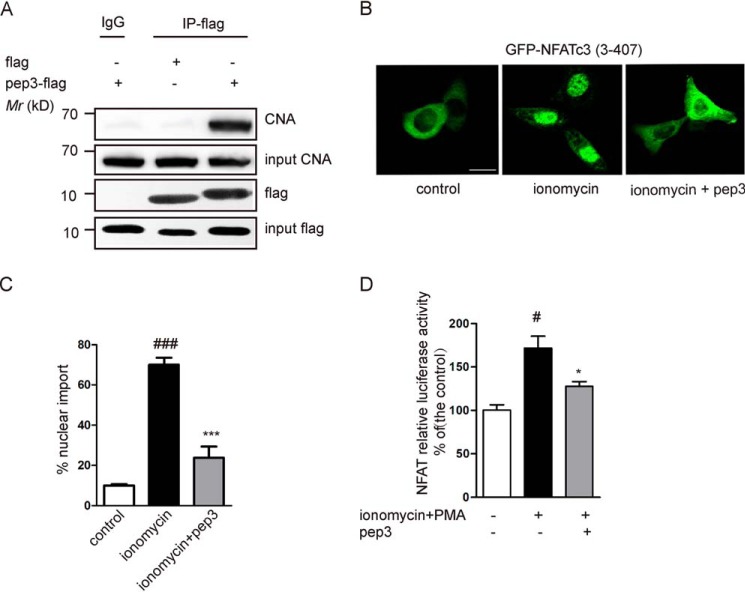 Figure 3.