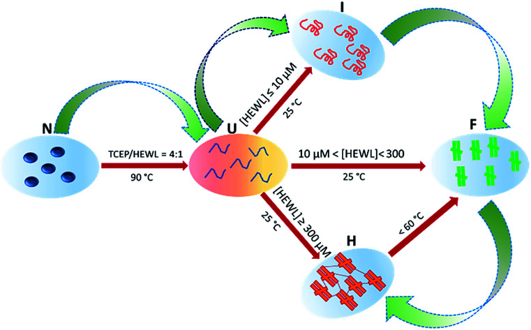 graphic file with name c9ra07179b-ga.jpg