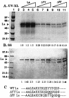 FIG. 9.