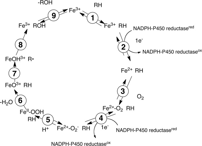 FIGURE 2.