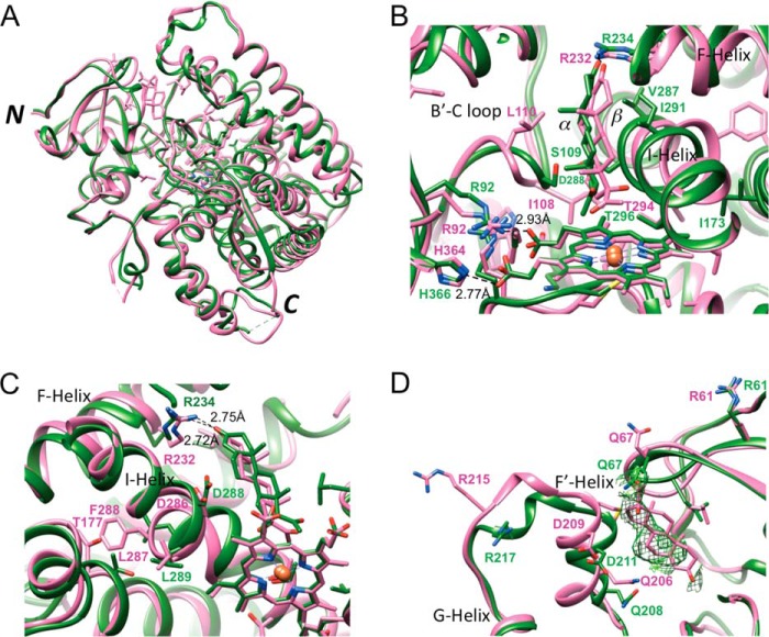 FIGURE 11.