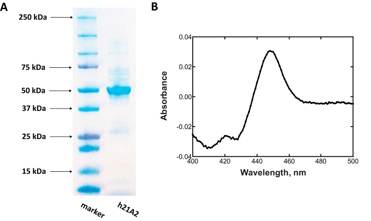 FIGURE 3.