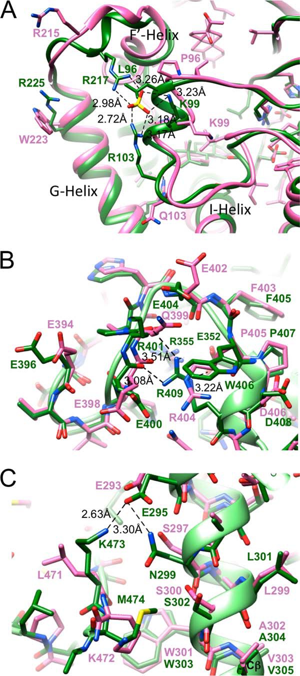 FIGURE 12.