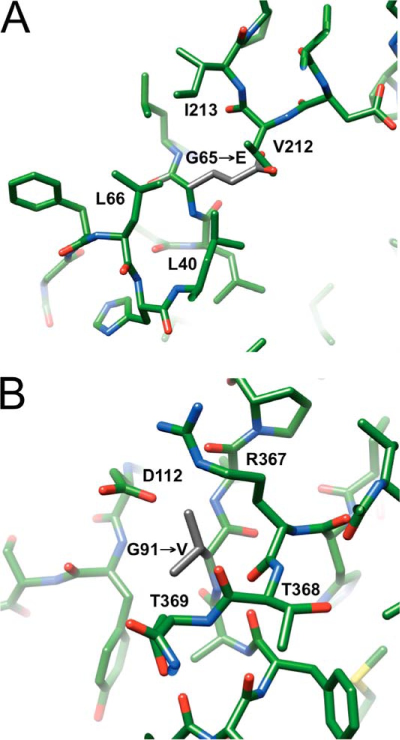 FIGURE 13.