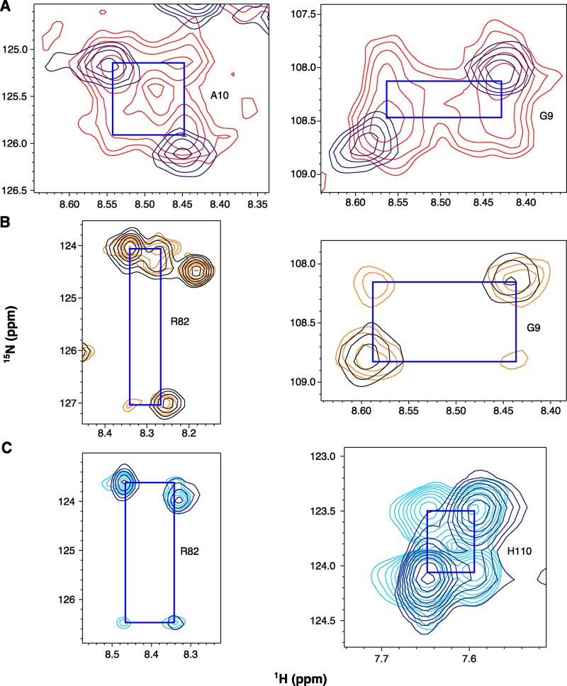 Figure 11.